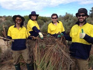 Green Army Erosion Control