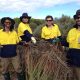Green Army Erosion Control