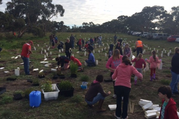 Strath Strikers planting trees
