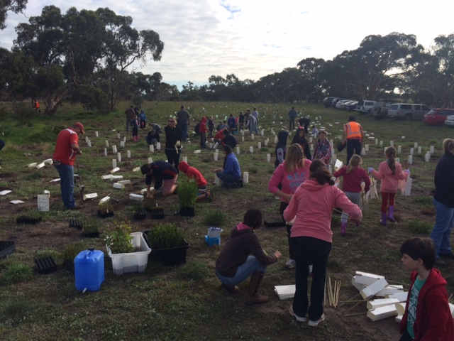 Strath Strikers planting trees