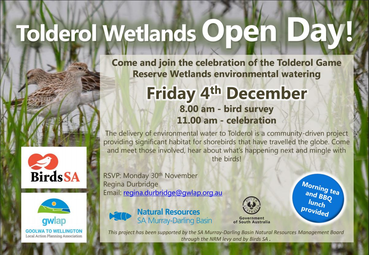 Tolderol open day flier