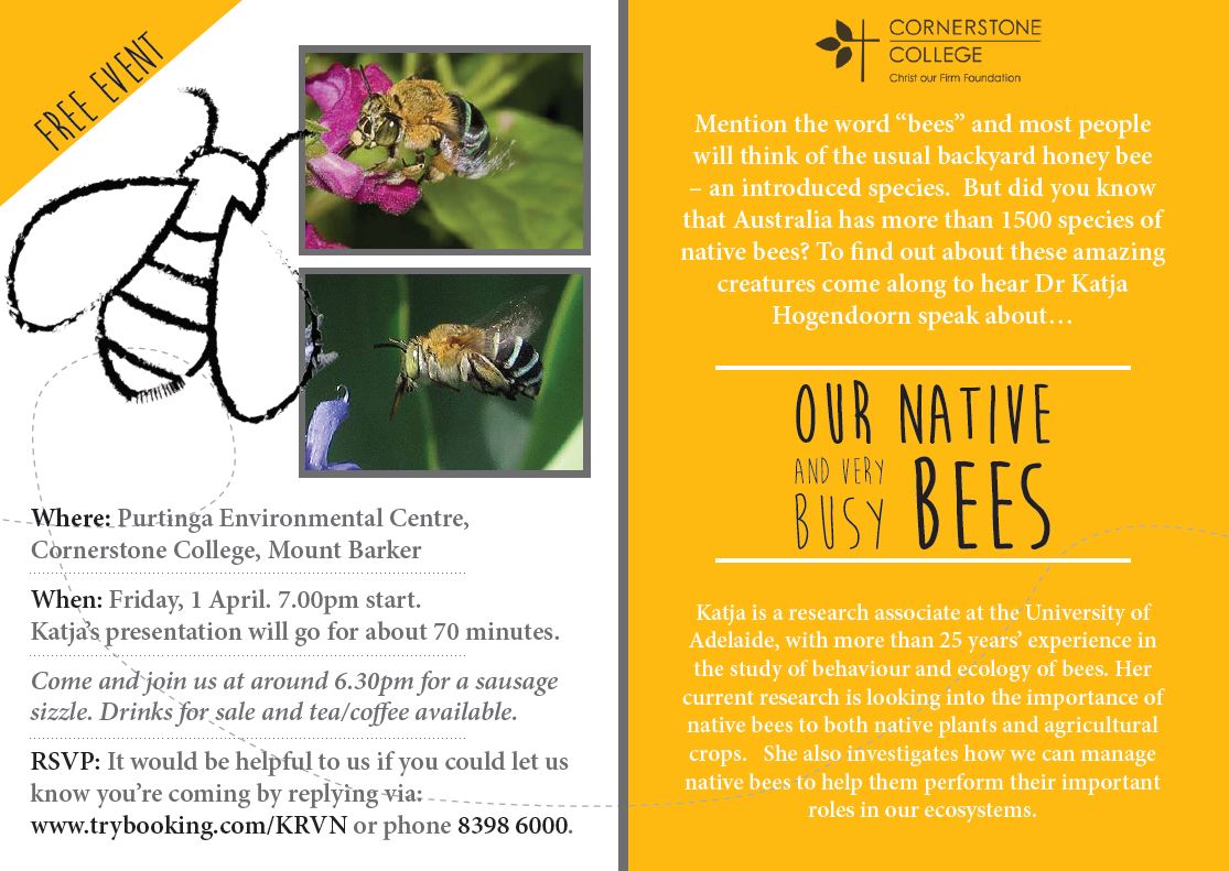 bee workshop
