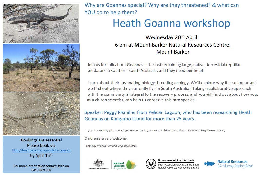 Goanna