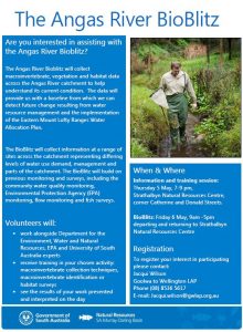 bioblitz flier