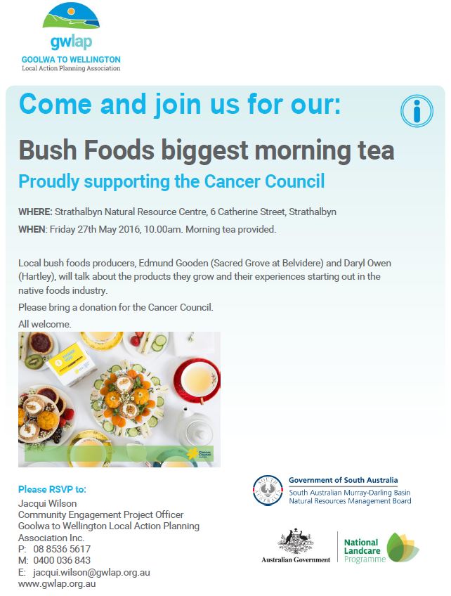 Biggest Morning Tea