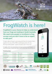 FrogWatch flier