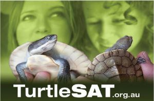TurtleSAT.org.au