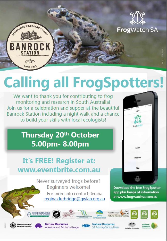 Frogspotting celebration at Banrock Station