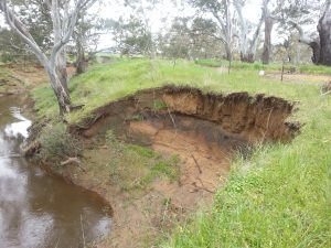 Angas River Erosion
