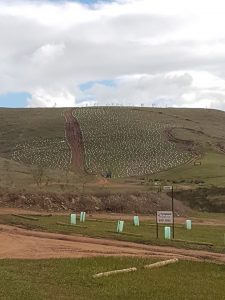 Jakem Farm from the freeway