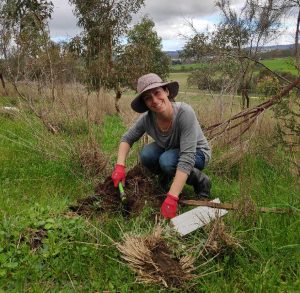 Janet kneeling in grass, digging a hole to plant a tree