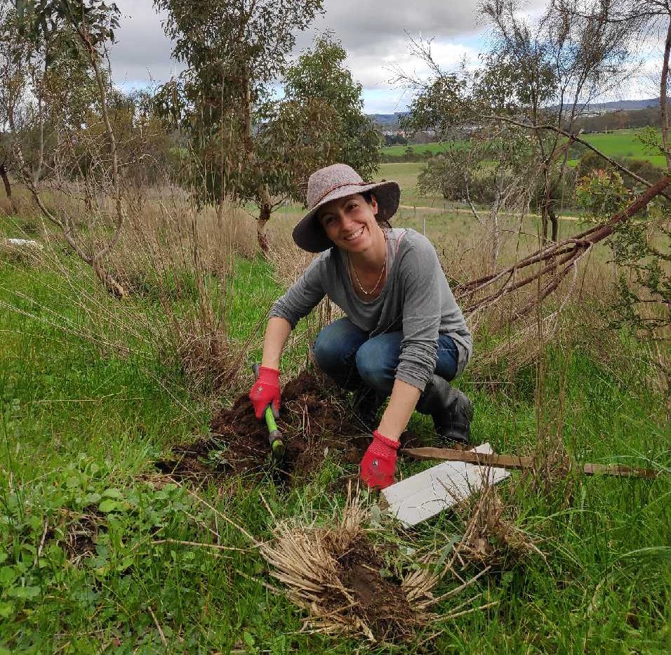 Janet kneeling in grass, digging a hole to plant a tree