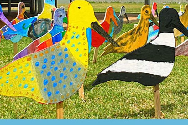 Annual Report cover showing brightly coloured wooden birds