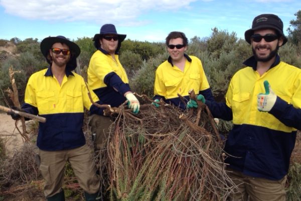 Green Army Erosion Control
