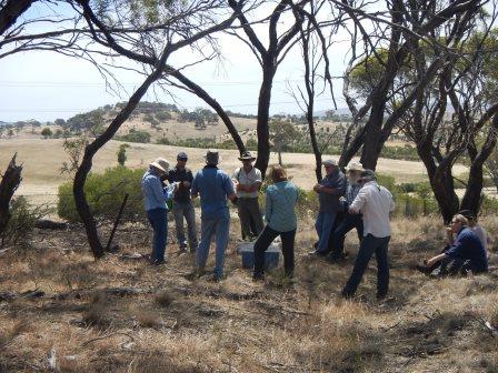 Direct Seeding revegetation field day 2015
