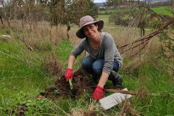 Janet kneeling in grass, digging a hole to plant a tree